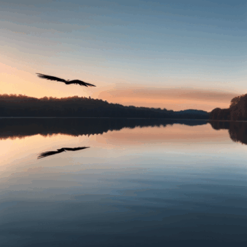 Stunning Sunrise: Birds Flying Over a Calm Lake