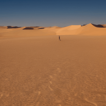 Explore the Majestic Desert Dunes with a Lone Traveler