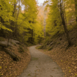 An autumn escape through scenic trails, surrounded by vibrant fall foliage.