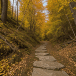 An autumn exploration through breathtaking trails, filled with vibrant colors and serene views.