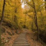 An autumn hiking journey through a vibrant landscape, with colorful leaves and clear skies.