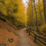 Brightly colored autumn leaves lining a peaceful hiking path, showcasing nature's artistry in fall.