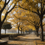 An urban park landscape adorned with a rich tapestry of autumn leaves during the fall season.