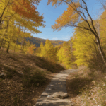 An autumn wilderness hike through vibrant landscapes, showcasing the beauty of fall.