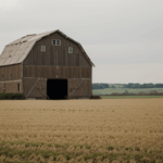 Adventurous exploration of rustic barns in open fields.