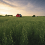 Barn in an idyllic setting surrounded by endless fields.