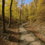 A breathtaking autumn trail surrounded by vibrant foliage, offering stunning views.