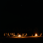 Friends gathered around a roaring campfire, sharing stories and laughter with the night sky overhead.