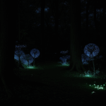 Fireflies illuminate a quiet moonlit forest, offering a magical and serene experience.