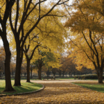 A picturesque city park featuring trees with colorful fall foliage, perfect for autumn photography.