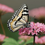 Close-up of a colorful butterfly on a pink bloom, emphasizing the harmony of nature's palette.