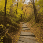 Crisp autumn air and vibrant foliage on a peaceful hiking trail, perfect for nature lovers.