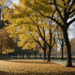 Golden and red leaves covering the ground in a bustling city park, illustrating the essence of autumn.