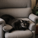 Serene scene of a cat enjoying a nap on a plush armchair, exuding peace.