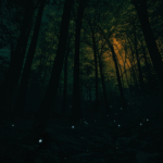 Fireflies dance in the moonlit forest, casting a warm glow on the tranquil surroundings.