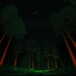 Moonlit forest scene with glowing fireflies, creating a magical nature escape.