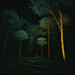 Fireflies dance in a tranquil moonlit forest, illuminating the night with their glow.