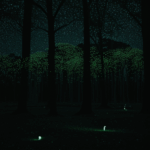 Moonlit nature escape with fireflies glowing in the peaceful forest.