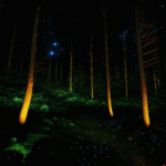 A peaceful forest at night with the glow of fireflies creating a magical ambiance.