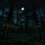 Wandering through a moonlit forest, the glow of fireflies creates a captivating atmosphere.