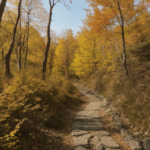 A golden forest hike in autumn, illustrating the breathtaking beauty of fall foliage.