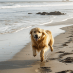 A golden retriever joyfully running along a sunny beach, showcasing its golden fur and playful spirit.