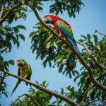 A vibrant parrot on a tree branch, capturing the essence of tropical bird life.