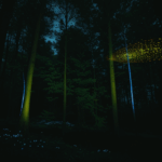 A moonlit forest retreat where fireflies' glow enchants the night.