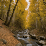A picturesque fall trail with vibrant foliage, offering stunning views for hikers.