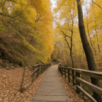 A scenic autumn adventure through vibrant trails, showcasing the beauty of fall.