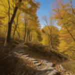 A scenic hiking trail surrounded by vibrant autumn foliage and crisp air, capturing the essence of fall's beauty.