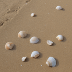A diverse collection of seashells on the beach, each one telling a story of journeys across the ocean's vast expanse.