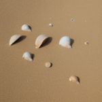 Seashells on the sand, showcasing the endless variety and stunning beauty that the sea has to offer.