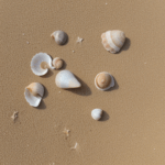 Seashells scattered on the sand, their vibrant colors and intricate patterns a testament to nature's artistry.