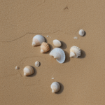 Seashells lying on sun-kissed sand, offering a glimpse into the vibrant and intricate world beneath the waves.