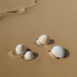 A mesmerizing assortment of seashells on the beach, showcasing the diverse and captivating beauty of marine life.