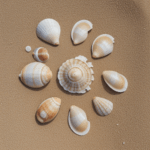A captivating array of seashells on the beach, illustrating the natural beauty and diversity found along the coast.
