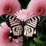A serene butterfly and flower scene, capturing a peaceful moment in nature's vibrant landscape.