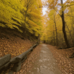A serene hiking route enveloped in autumn colors, offering tranquility and breathtaking views.