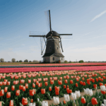 A serene setting with a traditional windmill and vibrant tulips, inviting viewers to immerse in the tranquil beauty of the scene.