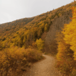 A tranquil fall landscape with colorful leaves, inviting hikers to explore the season's beauty.