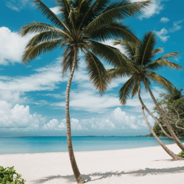Discover Paradise at a Stunning Tropical Beach Getaway