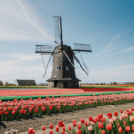 Sunrise casts a golden glow over tulip fields with a traditional windmill silhouetted against the morning sky, creating a magical scene.