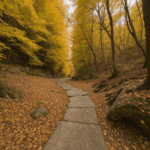 Vibrant fall scenery with colorful leaves and a serene trail, perfect for nature walks.